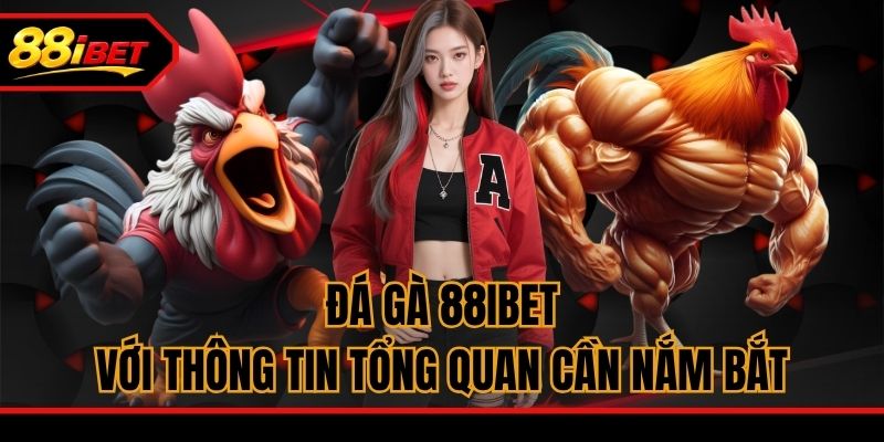 Đá gà 88ibet với thông tin tổng quan cần nắm bắt