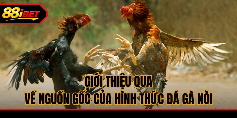 Giới thiệu qua về nguồn gốc của hình thức đá gà Nòi