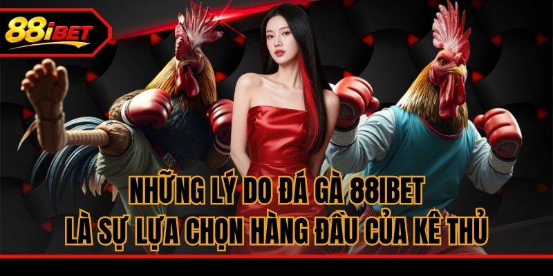 Những lý do đá gà 88ibet là sự lựa chọn hàng đầu của kê thủ